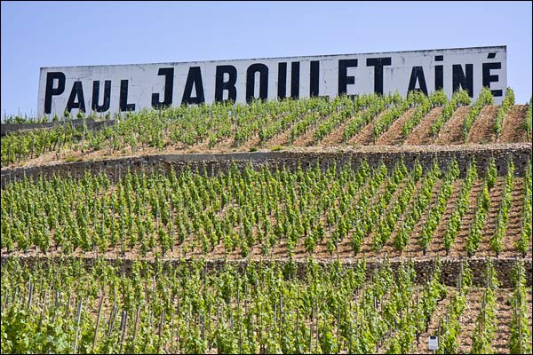 hermitage vineyards picture, jaboulet